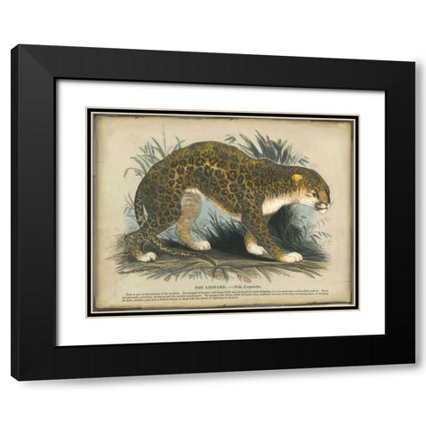 Leopard Black Modern Wood Framed Art Print with Double Matting by PI Collection