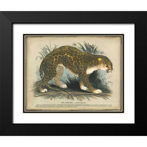 Leopard Black Modern Wood Framed Art Print with Double Matting by PI Collection