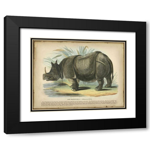 Rhino Black Modern Wood Framed Art Print with Double Matting by PI Collection