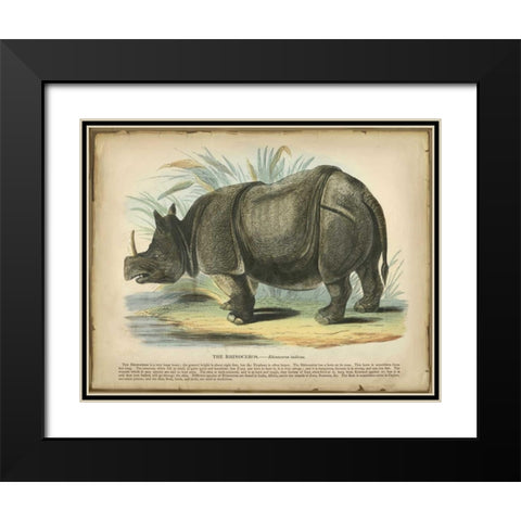 Rhino Black Modern Wood Framed Art Print with Double Matting by PI Collection
