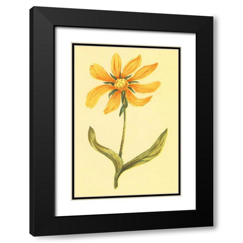Arizona Wyethia Black Modern Wood Framed Art Print with Double Matting by PI Collection