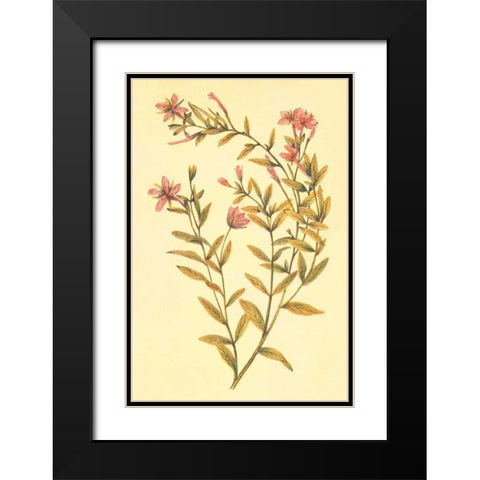 Broad Leaved Fireweed Black Modern Wood Framed Art Print with Double Matting by PI Collection