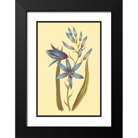 Camass and Wild Hyacinth Black Modern Wood Framed Art Print with Double Matting by PI Collection