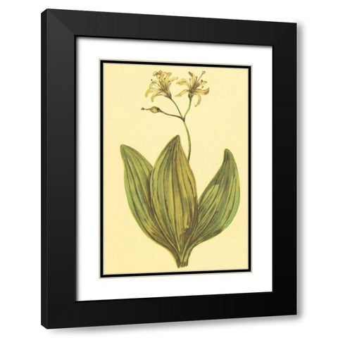 Clintonia Black Modern Wood Framed Art Print with Double Matting by PI Collection