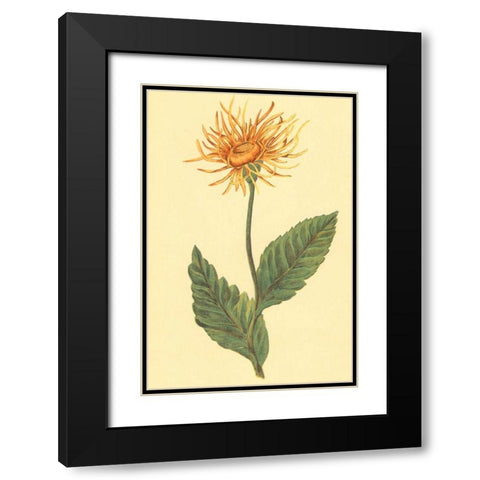 Ellecampane Black Modern Wood Framed Art Print with Double Matting by PI Collection