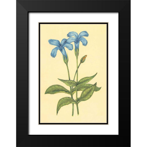Finged Gentian Black Modern Wood Framed Art Print with Double Matting by PI Collection