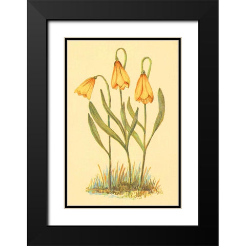 Fritillary Black Modern Wood Framed Art Print with Double Matting by PI Collection