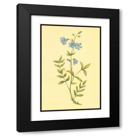 Greek Valerian Black Modern Wood Framed Art Print with Double Matting by PI Collection