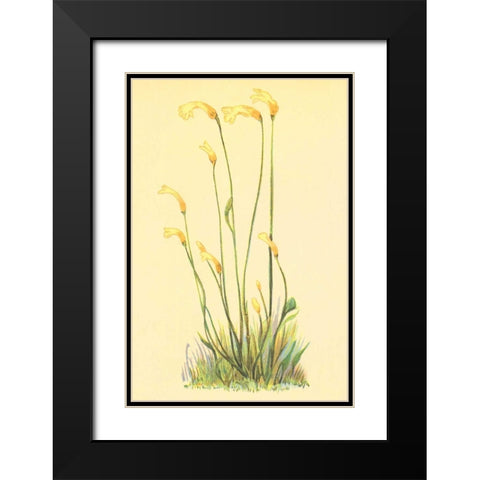 One Flowered Root Black Modern Wood Framed Art Print with Double Matting by PI Collection