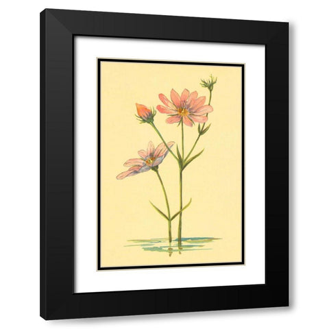 Sea Pink Black Modern Wood Framed Art Print with Double Matting by PI Collection