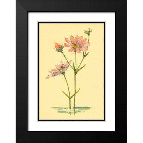 Sea Pink Black Modern Wood Framed Art Print with Double Matting by PI Collection