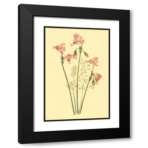 Shooting Star Black Modern Wood Framed Art Print with Double Matting by PI Collection