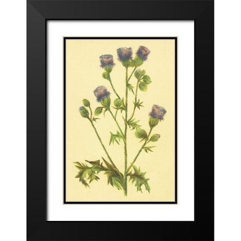 Thistle Black Modern Wood Framed Art Print with Double Matting by PI Collection