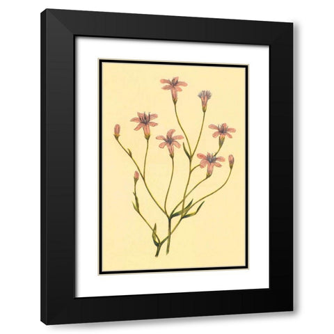 Wheelers Chaetadelpha Black Modern Wood Framed Art Print with Double Matting by PI Collection