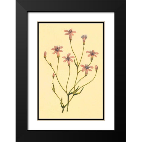 Wheelers Chaetadelpha Black Modern Wood Framed Art Print with Double Matting by PI Collection