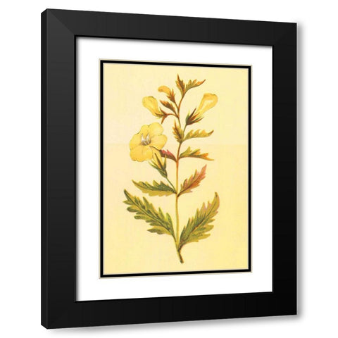 Yellow Fox Glove Black Modern Wood Framed Art Print with Double Matting by PI Collection
