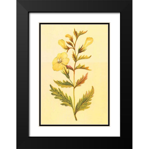 Yellow Fox Glove Black Modern Wood Framed Art Print with Double Matting by PI Collection