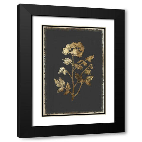 Cut Leaved Phacelia Black Modern Wood Framed Art Print with Double Matting by PI Collection