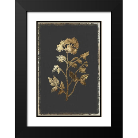 Cut Leaved Phacelia Black Modern Wood Framed Art Print with Double Matting by PI Collection