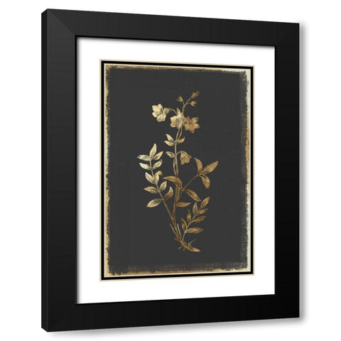 Greek Valerian Black Modern Wood Framed Art Print with Double Matting by PI Collection