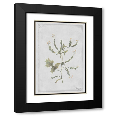 Hedge Mustard Black Modern Wood Framed Art Print with Double Matting by PI Collection