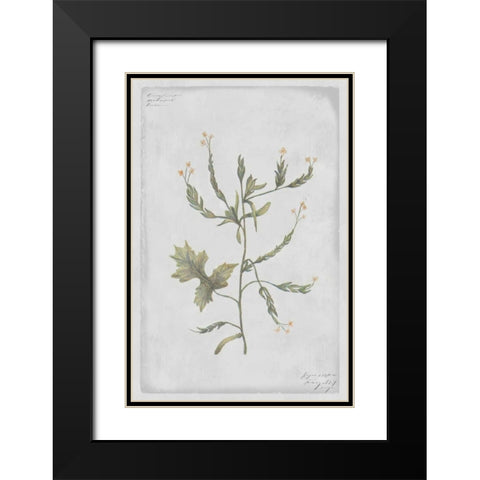 Hedge Mustard Black Modern Wood Framed Art Print with Double Matting by PI Collection