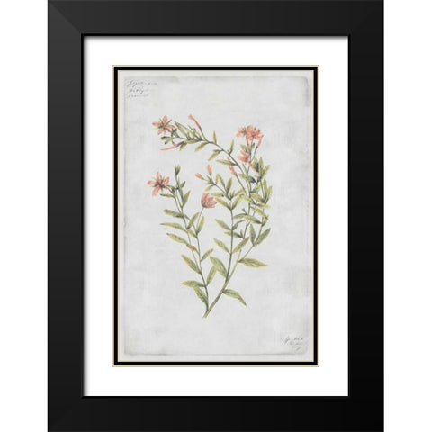 Buds Vol. IV Tav Black Modern Wood Framed Art Print with Double Matting by PI Collection