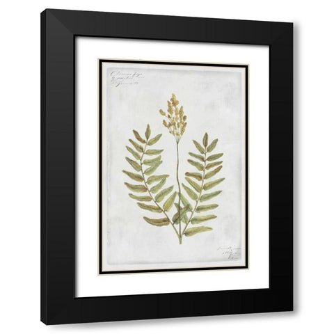 Flowering Fern Stem Black Modern Wood Framed Art Print with Double Matting by PI Collection