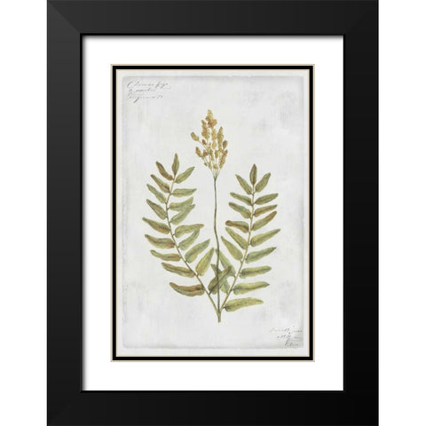 Flowering Fern Stem Black Modern Wood Framed Art Print with Double Matting by PI Collection