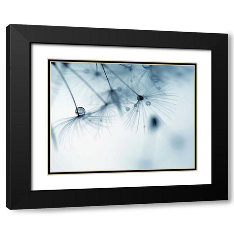 Jewels II Black Modern Wood Framed Art Print with Double Matting by Cozart, Rebecca