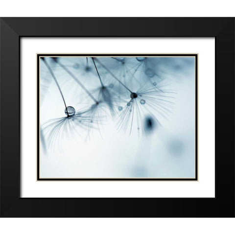 Jewels II Black Modern Wood Framed Art Print with Double Matting by Cozart, Rebecca