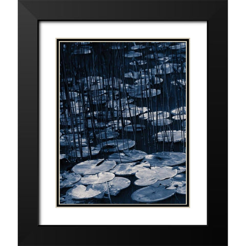 Lilly Pond Blue I Black Modern Wood Framed Art Print with Double Matting by Cozart, Rebecca