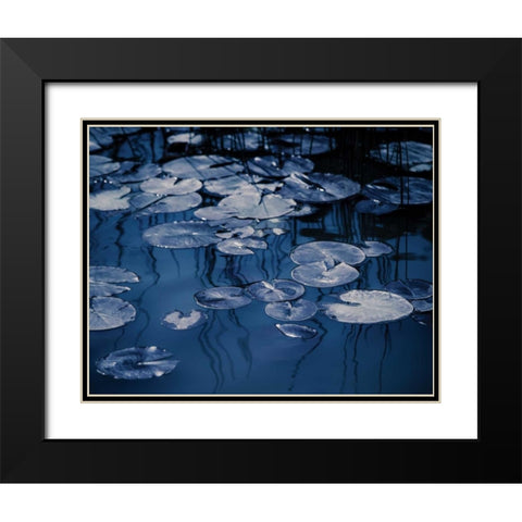 Lilly Pond Blue VII Black Modern Wood Framed Art Print with Double Matting by Cozart, Rebecca