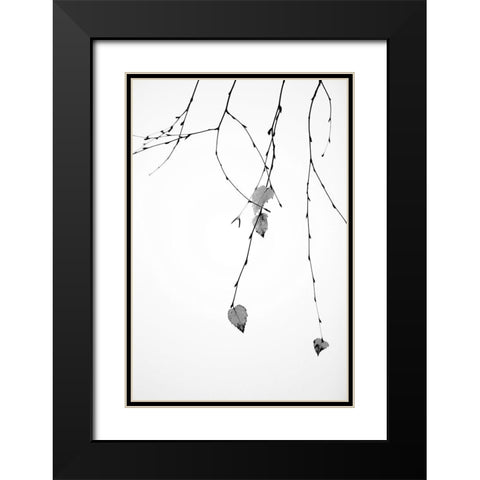 Solo Black Modern Wood Framed Art Print with Double Matting by Cozart, Rebecca