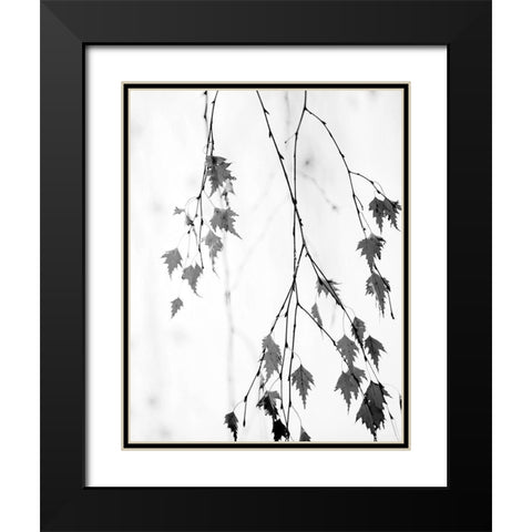 Subtle Black Modern Wood Framed Art Print with Double Matting by Cozart, Rebecca