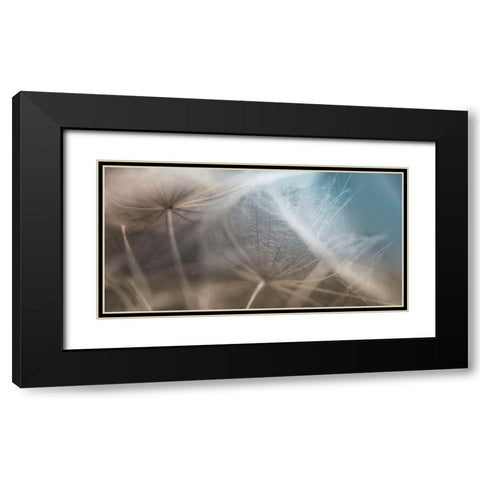 Dalliance II Black Modern Wood Framed Art Print with Double Matting by Schenck, Robert