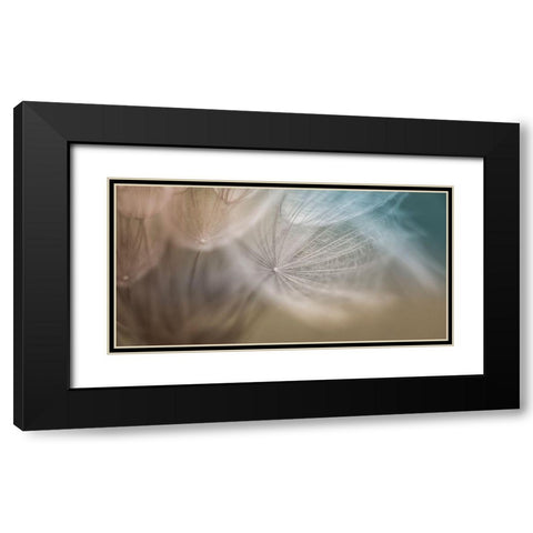 Dalliance III Black Modern Wood Framed Art Print with Double Matting by Schenck, Robert