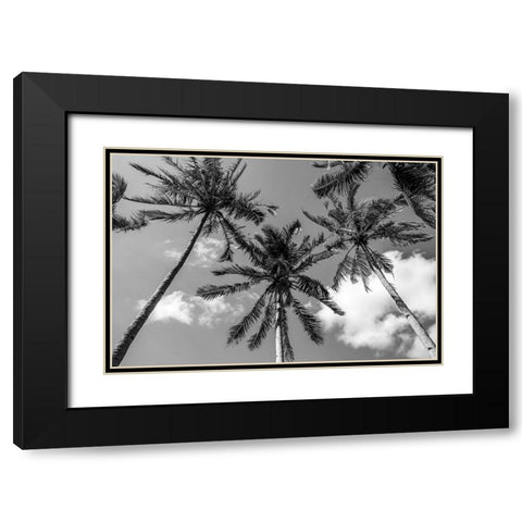 California Palms II Black Modern Wood Framed Art Print with Double Matting by Silver, Richard