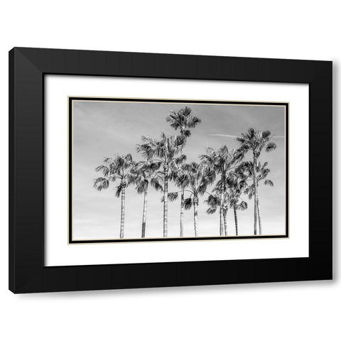California Palms III Black Modern Wood Framed Art Print with Double Matting by Silver, Richard