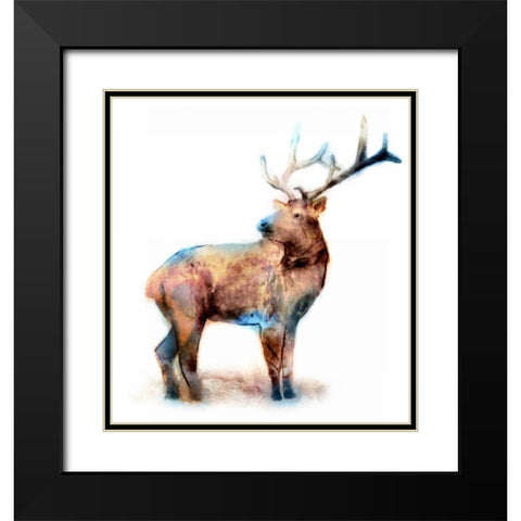 Elk Black Modern Wood Framed Art Print with Double Matting by Selkirk, Edward