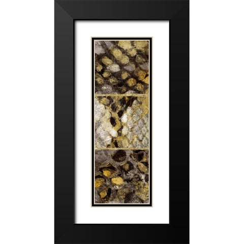 Snake Squares I Black Modern Wood Framed Art Print with Double Matting by Selkirk, Edward