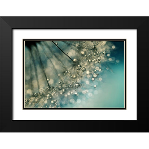 Indigo Sparkles Black Modern Wood Framed Art Print with Double Matting by Johnstone, Sharon