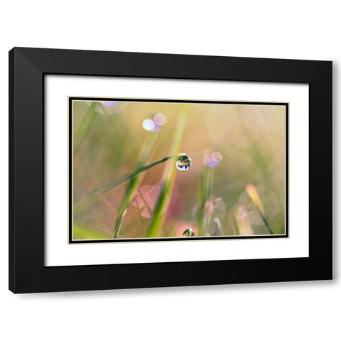 Waterdrop Black Modern Wood Framed Art Print with Double Matting by Cook, Sylvia