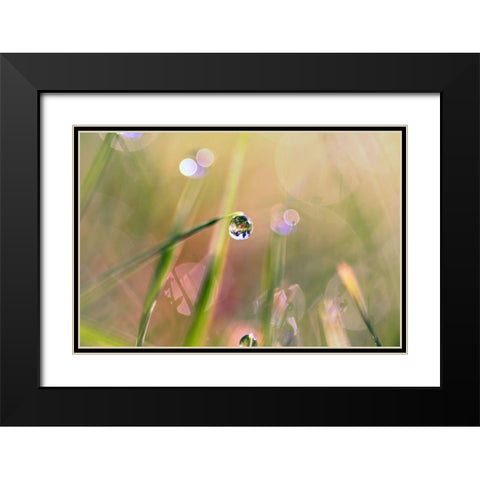 Waterdrop Black Modern Wood Framed Art Print with Double Matting by Cook, Sylvia