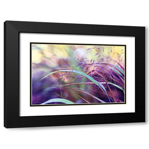 Purple grass Black Modern Wood Framed Art Print with Double Matting by Cook, Sylvia
