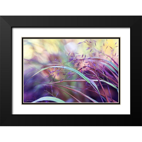 Purple grass Black Modern Wood Framed Art Print with Double Matting by Cook, Sylvia