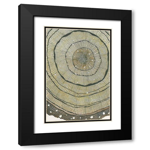 Fir Black Modern Wood Framed Art Print with Double Matting by Pellisier, Sandrine