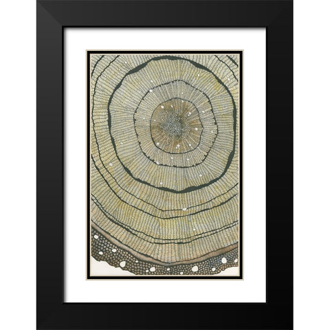 Fir Black Modern Wood Framed Art Print with Double Matting by Pellisier, Sandrine