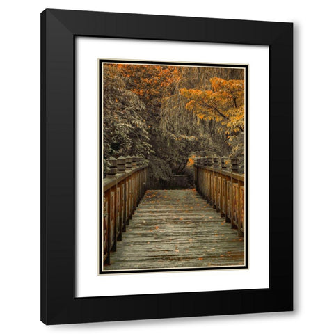 Across the Bridge Black Modern Wood Framed Art Print with Double Matting by Schwartz, Don