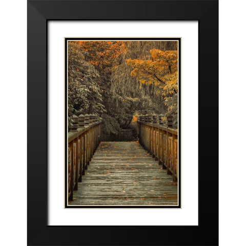 Across the Bridge Black Modern Wood Framed Art Print with Double Matting by Schwartz, Don